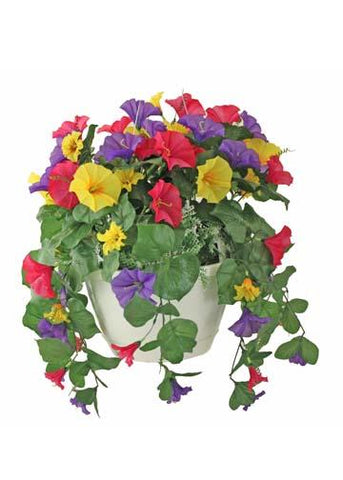 SS-Deluxe Hanging Flower Basket with Shepherd Hook Rental - Assorted Colors